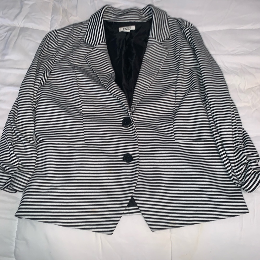 Fitted Striped Blazer (lg)
